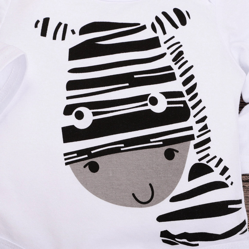 Baby Boy Clothing Set Zebra Romper Pants Hat